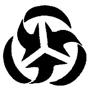 comisia trilaterala, rasvan radu